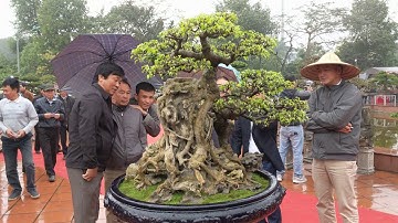 Không khí nhộn nhịp trước giờ khai mạc triển lãm Văn Giang