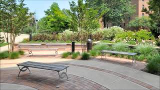 White Plains Home For Sale - 345 Main St, White Plains, NY