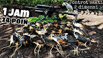 SPOT MACAM APA INI ⁉️ MAKIN SIANG TAMBAH RAME‼️ BERBURU RUAK-RUAK SPOT UNLIMITED‼️ RTXX TACTICAL‼️