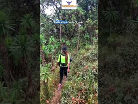 Mt Kipipiri Aberdares Ranges (hiking & camping)