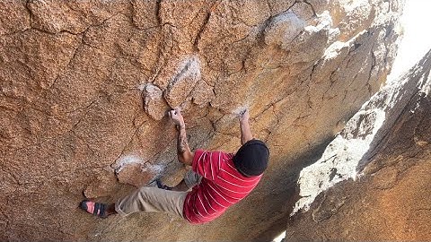 Digital Black (V10) - Joshua Tree