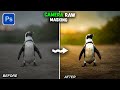Change Lighting and Mood Like a Pro Using Camera Raw Masking