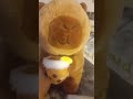 capybara il voulait juste boire son bubul tea tranquillement