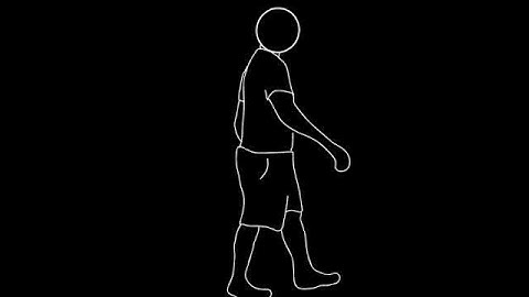 Walking Animation