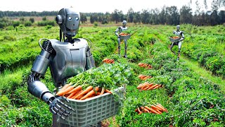 How Robots Grow and Harvest Millions of Vegetables Every Day