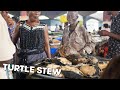 Tasty turtle stew in kinshasa  traditional congolese food