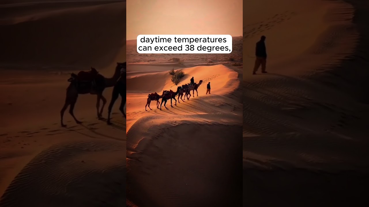 🌡️ Heat waves are prolonged periods of extremely hot weather. Explore the way it formed!