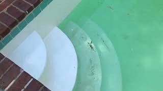 Pool painting with Chlorinated Rubber Olympic paint, just top two feet band 4/29/2024 vid2 by NowAFix MKN Garage mknMike 17 views 4 days ago 2 minutes, 55 seconds