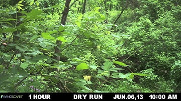 What does a hydrograph look like in real life? Dry Run Creek 2013