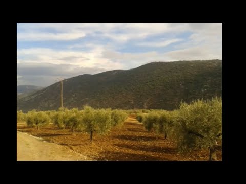 داف و زرنا بيك تراث عفرين Efrin Music موسيقى اعراس عفرين