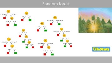 Random forest classification - simply explained