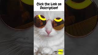 Cute Cat 😸 Funny Cat wearing glasses 😸  #shorts