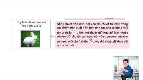 TIN HỌC LỚP 3 BÀI 2: THÊM ẢNH VÀO TRANG TRÌNH CHIẾU. HOẠT ĐỘNG 2: THÊM ẢNH VÀO TRANG TRÌNH CHIẾU