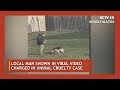 Local man shown in viral video charged in animal cruelty case