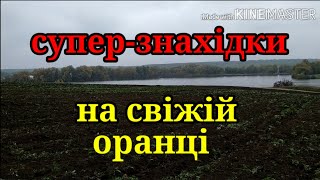 СУПЕР-ЗНАХІДКИ НА СВІЖІЙ ОРАНЦІ