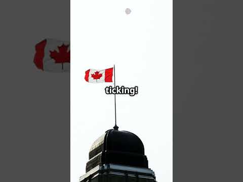 Can you name these flags? #shorts #geography #flag #fyp