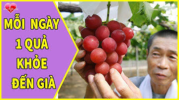 12 Điều Ít Người  Biết Về Quả Nho || Ăn Nho Có Tác Dụng Gì