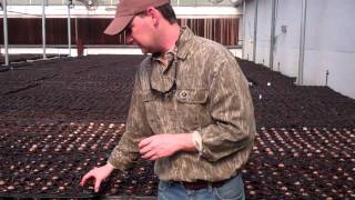 Spring Planting Season 2011