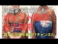 60才からの着付け ポイント柄の名古屋帯