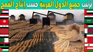من هي اكبر دولة عربية منتجة للقمح 2024؟ ترتيب جديد لجميع الدولة عربية حسب انتاج القمح| ترتيب 19 دولة