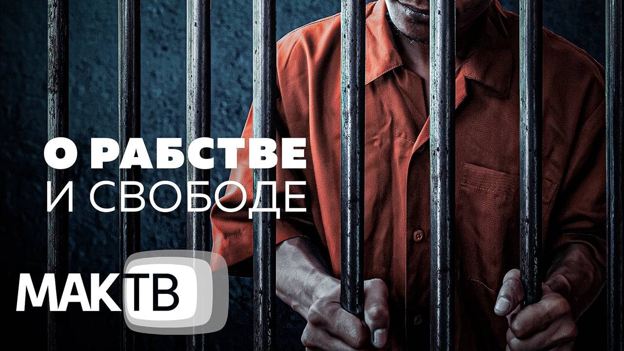 Мак сузуки тв ютуб Мак сузуки тв ютуб