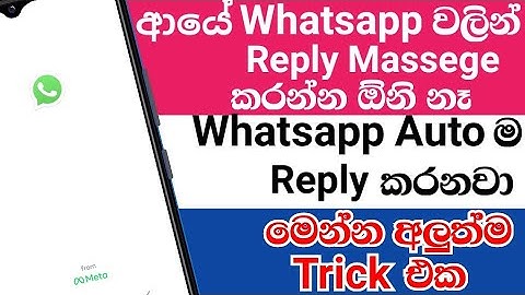 How to Enable Auto Reply to WhatsApp Messages ? Sinhala SL Mouse Bro