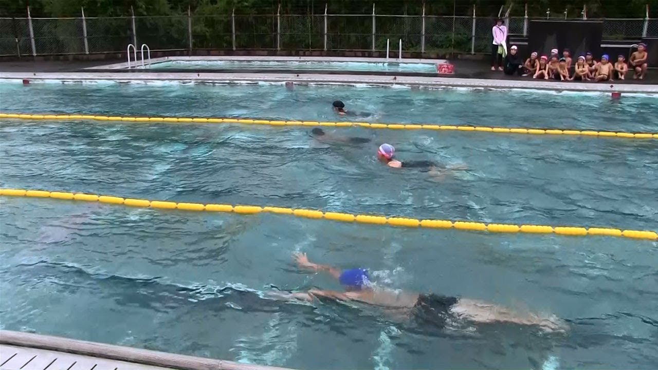 種子島の学校活動：南界小学校校内水泳大会2019年