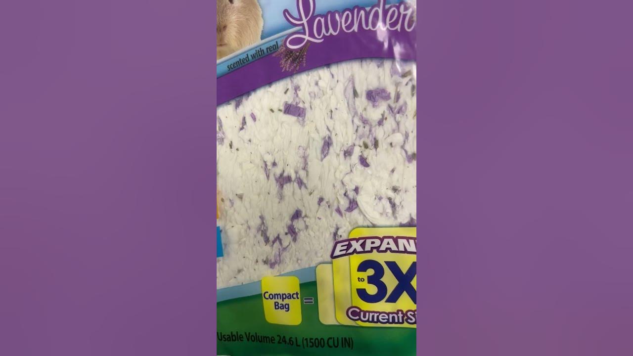 why scented bedding is bad for hamsters YouTube