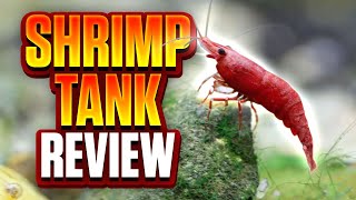 Is This The Best All-In-One Shrimp Tank On The Market? (Aquael Shrimp Set Review)