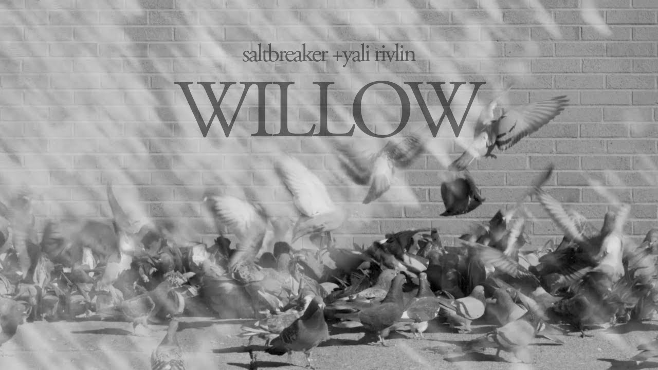 Watch Willow - Saltbreaker + Yali Rivlin - Official Video on YouTube Watch Willow - Saltbreaker + Yali Rivlin - Official Video on YouTube