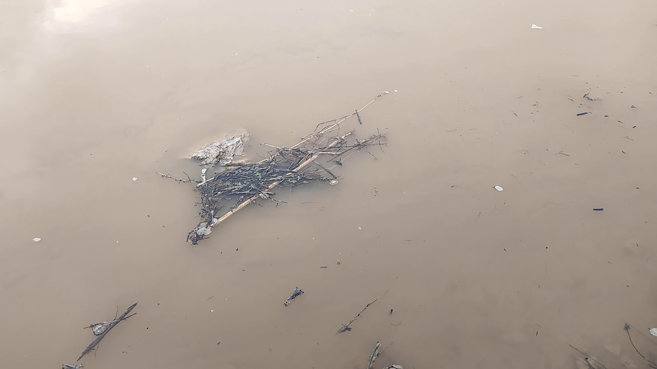 Какая вода в оке