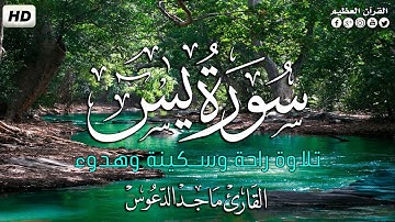 سورة يس كاملة✍ | تلاوة راحة وسكينة وهدوء 😴| القارئ ماجد الدعوس