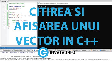 Citirea si afisarea unui vector in C++