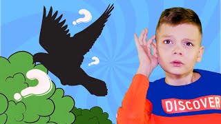 What Do You Hear? | Animals Kids Songs With Max And Sofi
