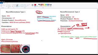 Neurofibromatosis Types 1 and 2