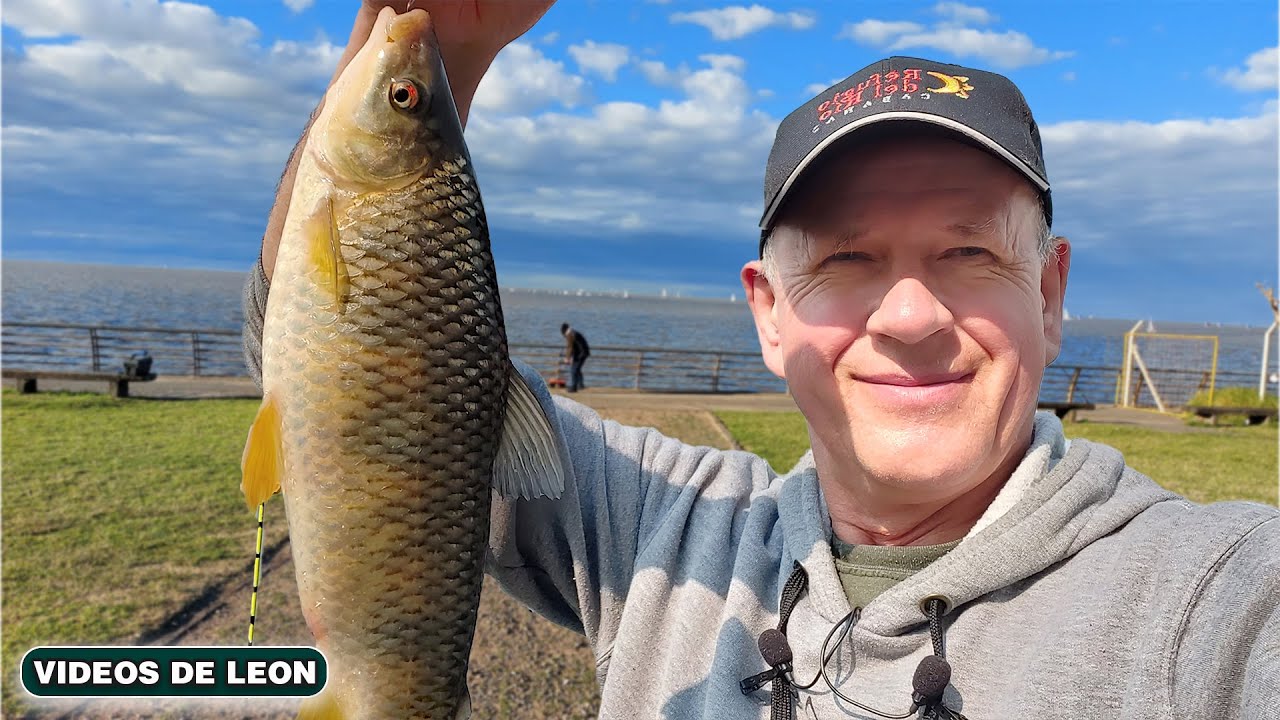 Pescar Dorados En La Playa Urbana De La Ciudad  Pesca En