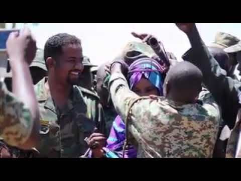 هديه داليا الياس