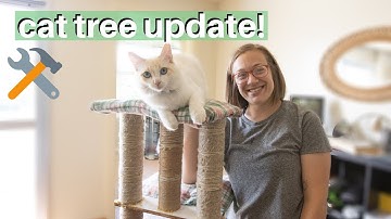 FIXING MY DIY CAT TREE | Why you should repair instead of throw things away