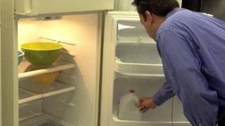 How to Shop for a Refrigerator