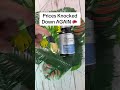 wellness supplements • daily health support • tiktok shop finds energy support • circulation support