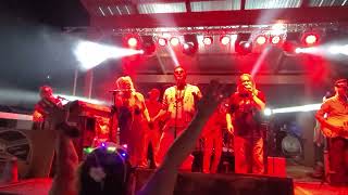Chester Brown With Mr Blotto and America Eats its Young At Brown Town 14