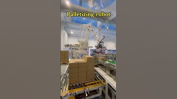 Palletizing robot#palletizing  #machines #automation #industrialrobots #robotfactory