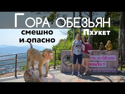 Гора Обезьян, Пхукет, Таиланд Милахи И Нападение