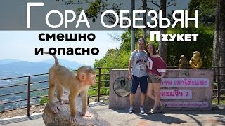 Гора обезьян, Пхукет, Таиланд 🐒 милахи и нападение Гора обезьян, Пхукет, Таиланд 🐒 милахи и нападение