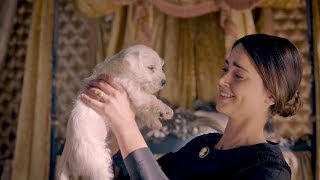 Victoria, Season 2: Puppies on Set