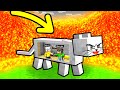 TSUNAMI  di LAVA contro BUNKER DENTRO un GATTO in Minecraft!