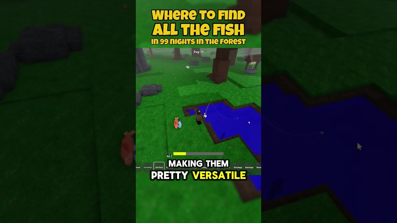 Where to find all the fish in 99 Nights in the Forest Fishing Update 