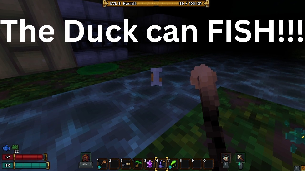 The duck is just too good (Barony #153)