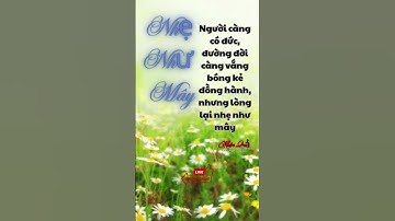 Người càng có đức, bạn đồng hành càng ít, nhưng tâm hồn lại tự do như mây