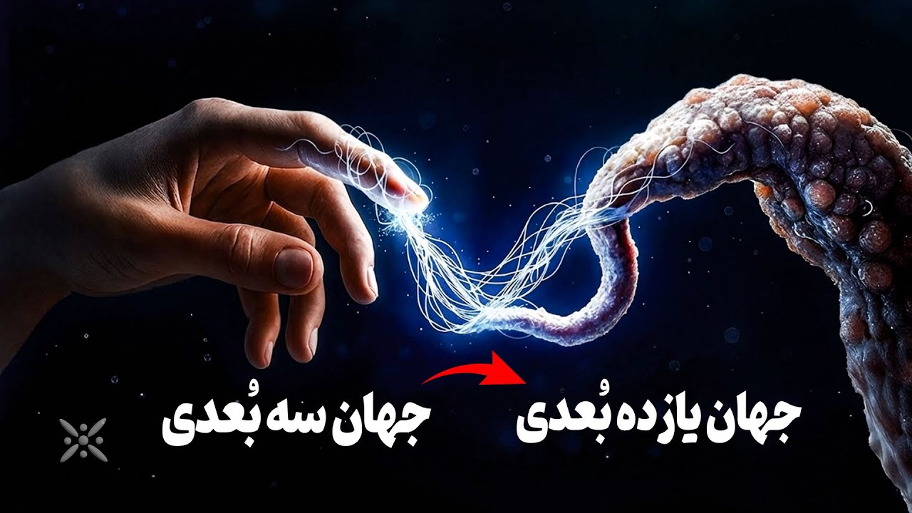 با تماشای این ویدیو وارد بعد یازدهم می شوید | چه کسانی آنجا هستند ؟ آیا واقعا ما را می بینند ؟